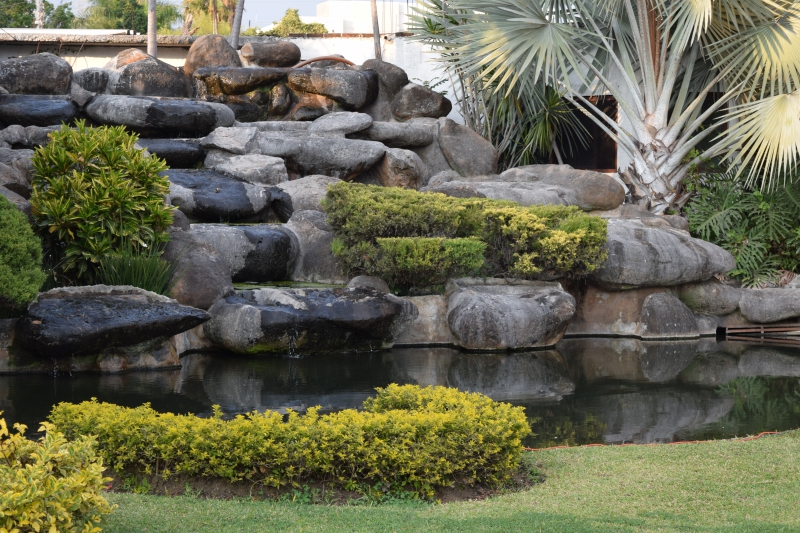 paysagiste-LA VALETTE DU VAR-min_garden-green-rock-natural-landscape-wall-grass-1613997-pxhere.com